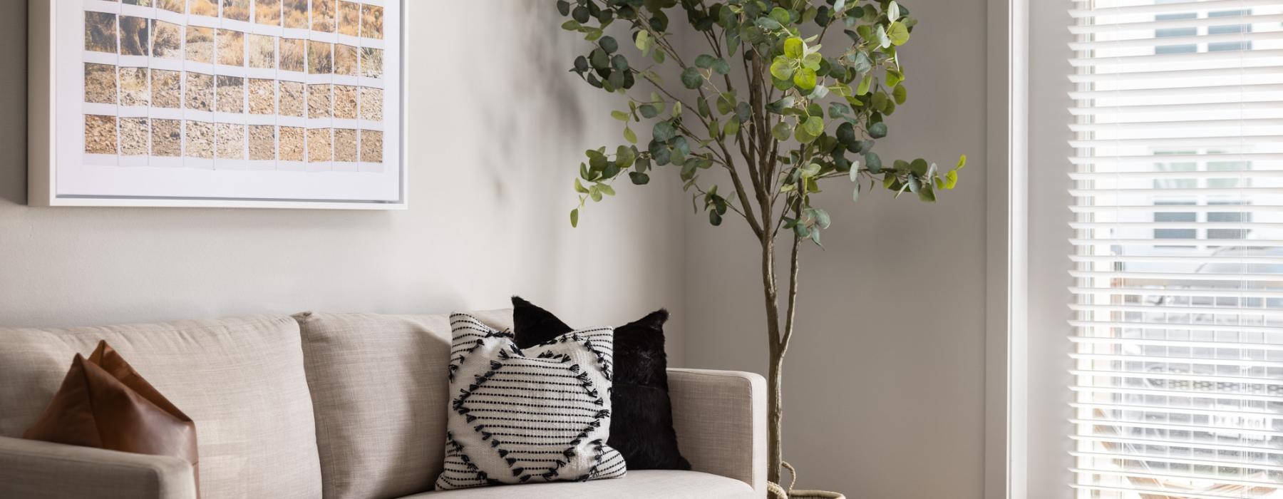 Open space living area with natural lighting